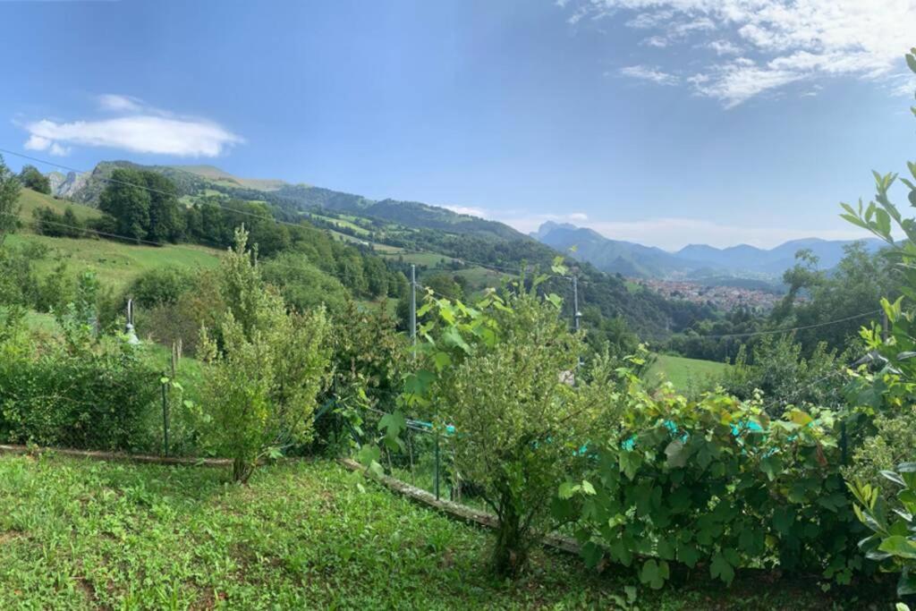 Residenza Fornaro Villa Premolo Eksteriør bilde